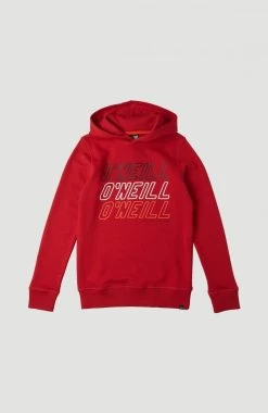O'Neill Hoodie All Year Sweat Hoody
