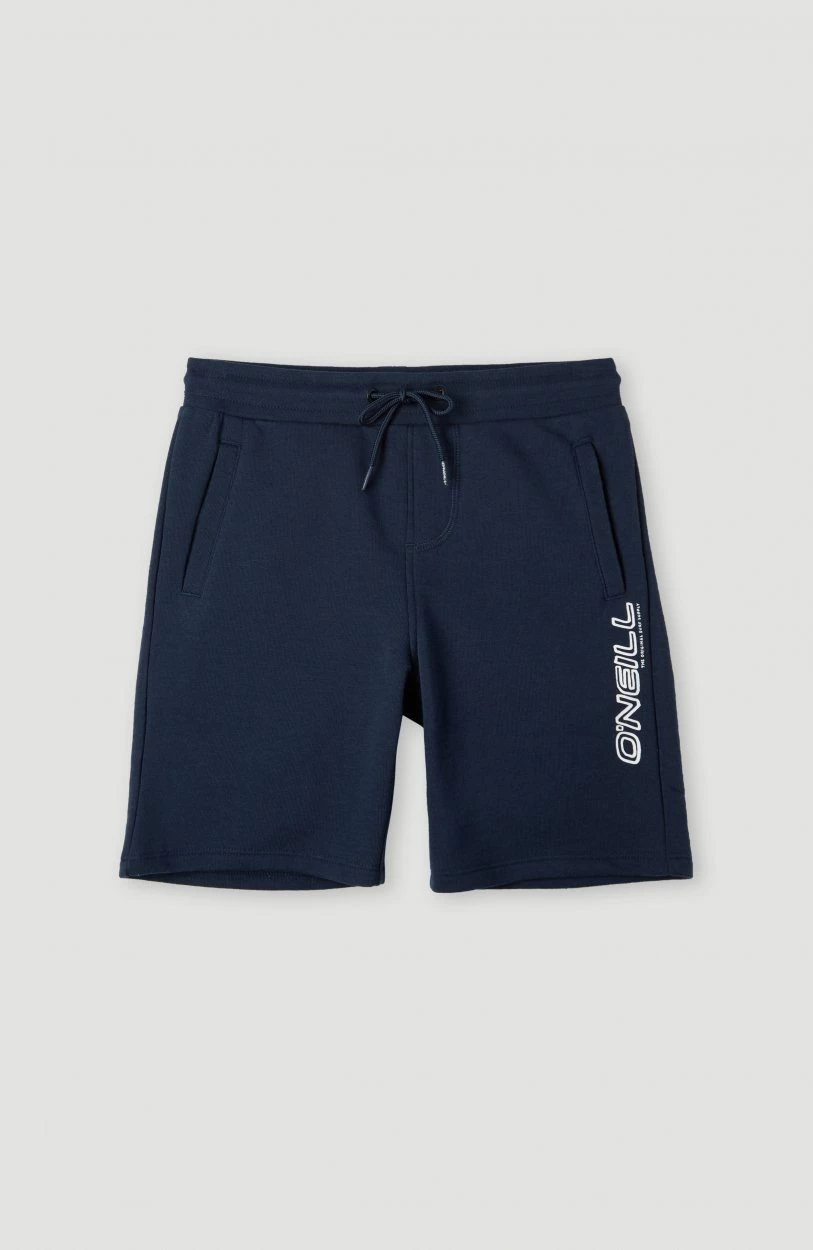 O'Neill Short ALL YEAR JOGGER SHORTS - Afbeelding 4
