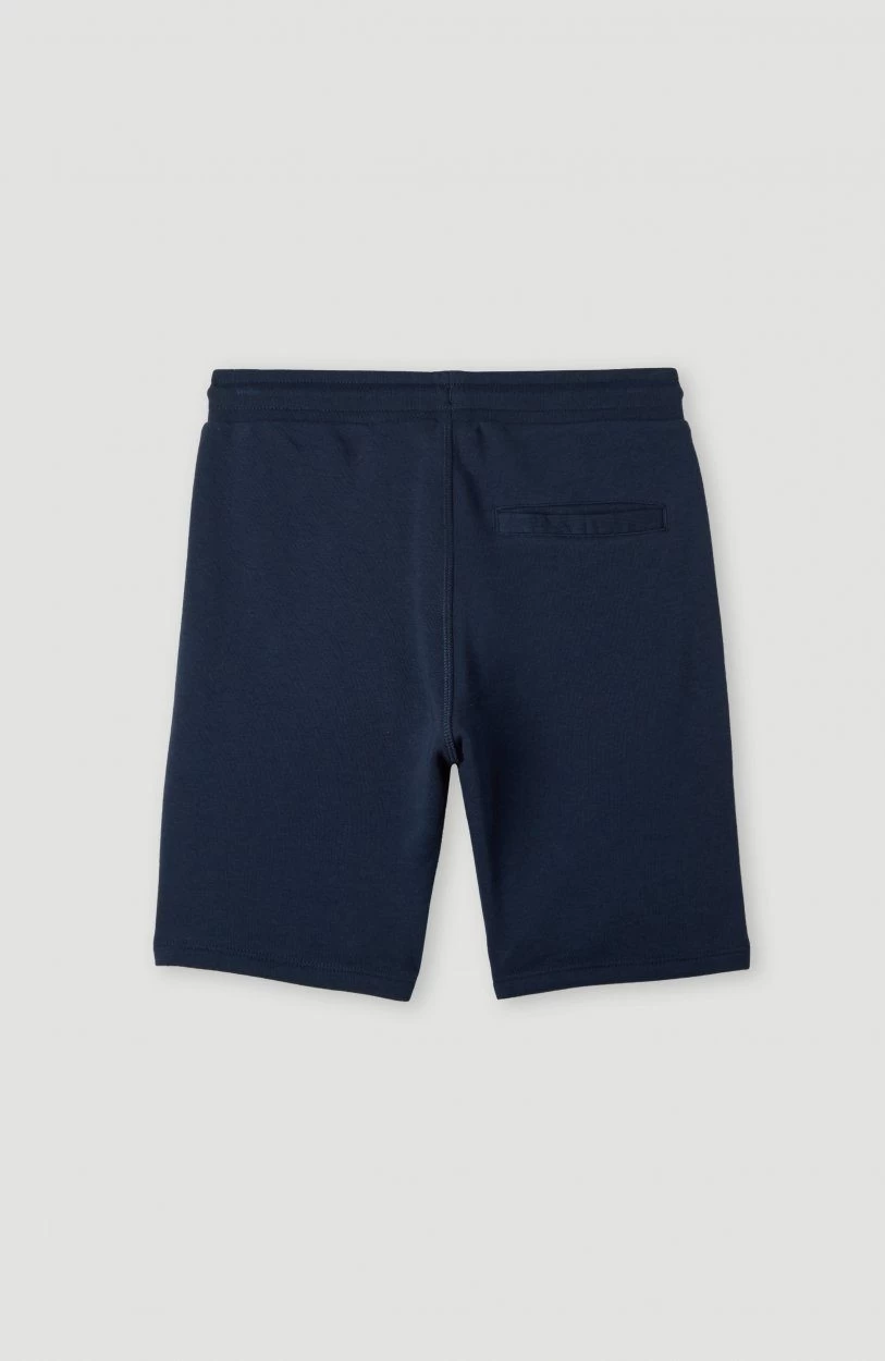 O'Neill Short ALL YEAR JOGGER SHORTS - Afbeelding 6