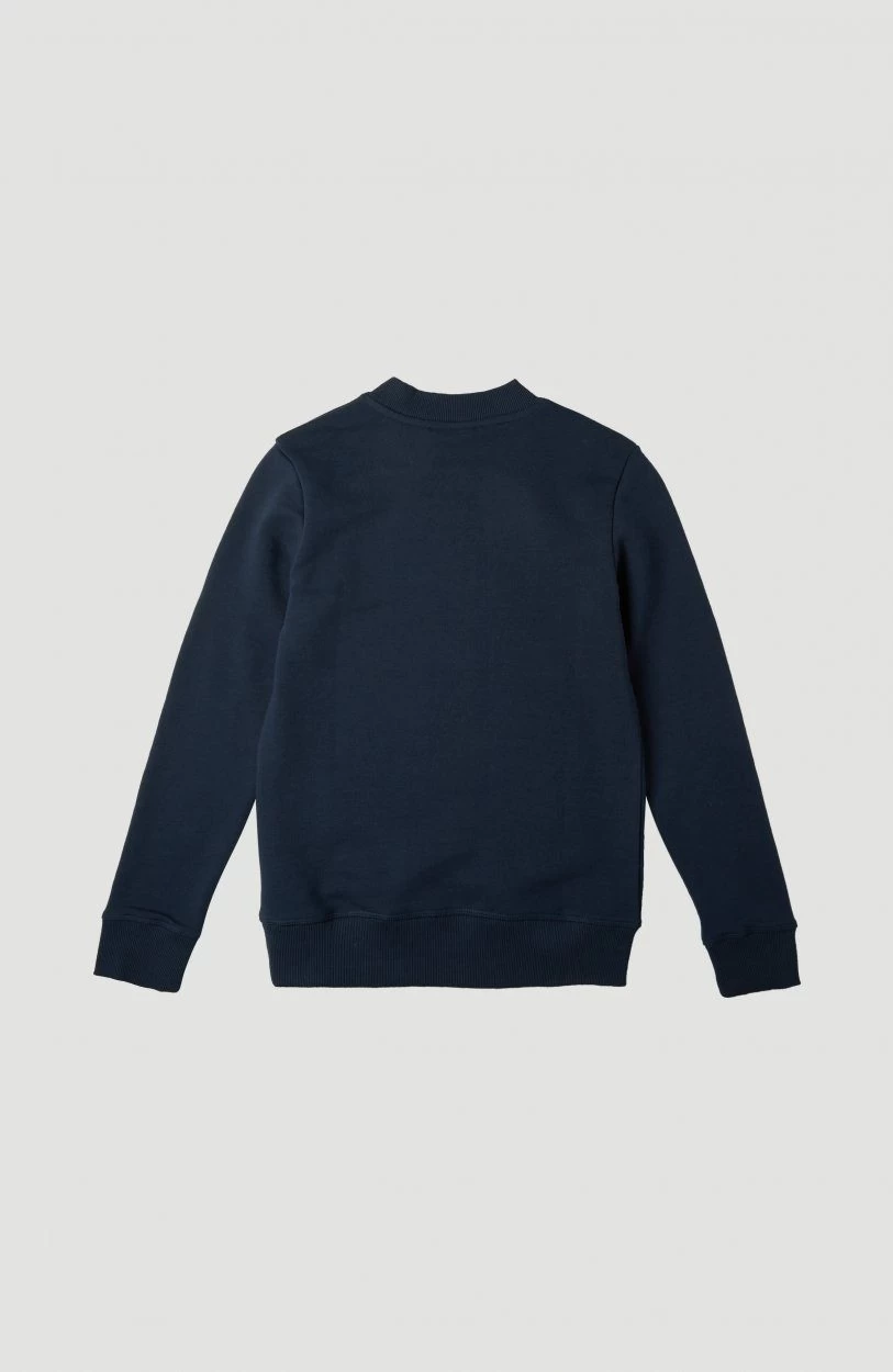 O'Neill Sweatshirt ALL YEAR CREW SWEATSHIRT - Afbeelding 2