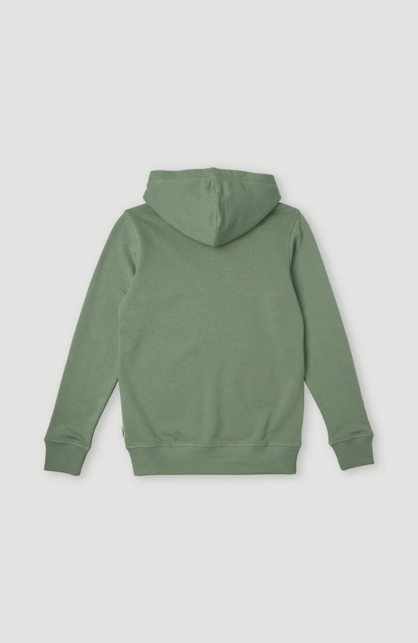 O'Neill Sweatshirt ALL YEAR F/Z SWEAT - Afbeelding 3