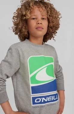 O'Neill Sweatshirt Flag Wave Crew Sweatshirt