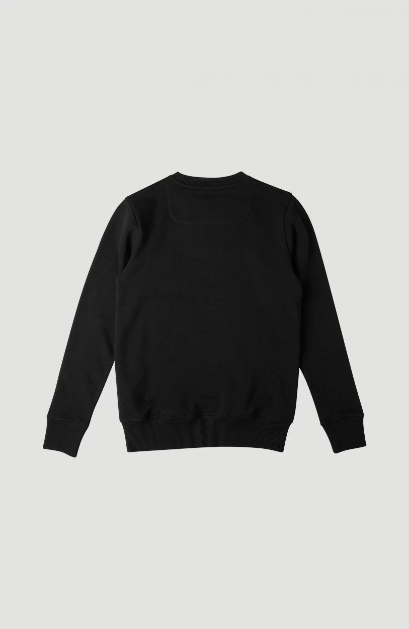 O'Neill Sweatshirt O'Neill Crew - Afbeelding 4