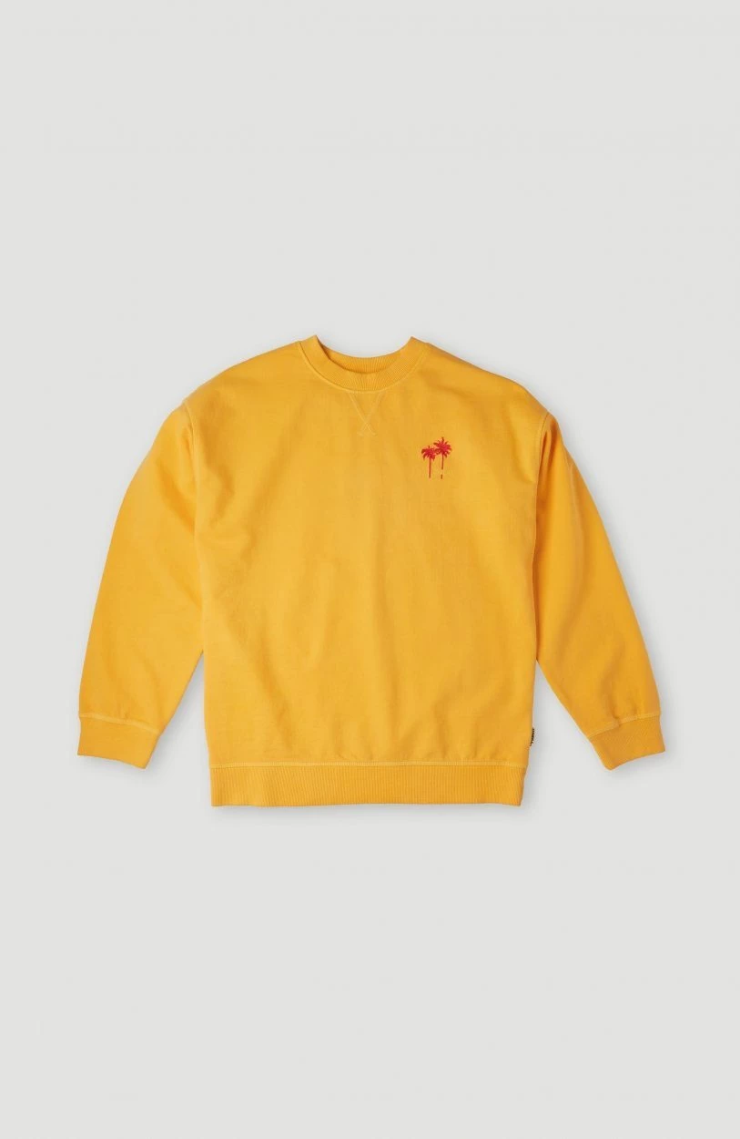 O'Neill Sweatshirt O'NEILL SURF CREW SWEAT