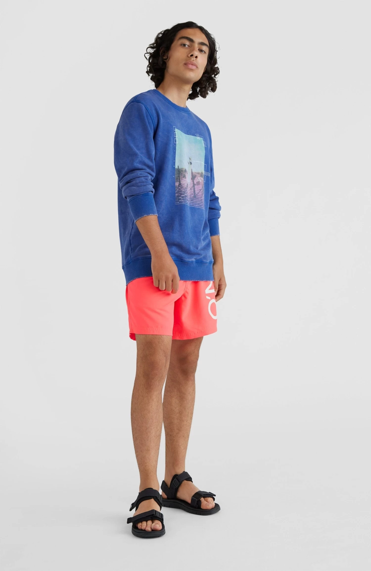 O'Neill Sweatshirt SURFBOARD CREW SWEATSHIRT - Afbeelding 5