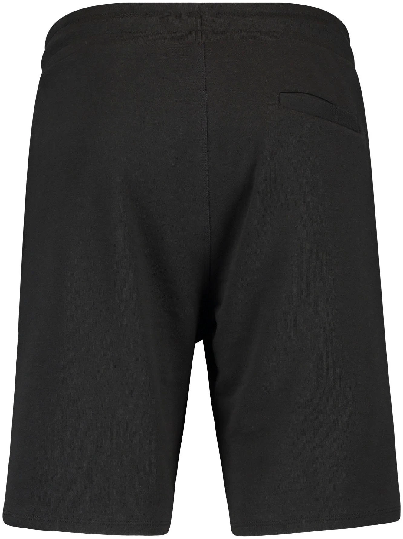 O'Neill Sweatshort SWEAT SHORTS MEN - Afbeelding 7