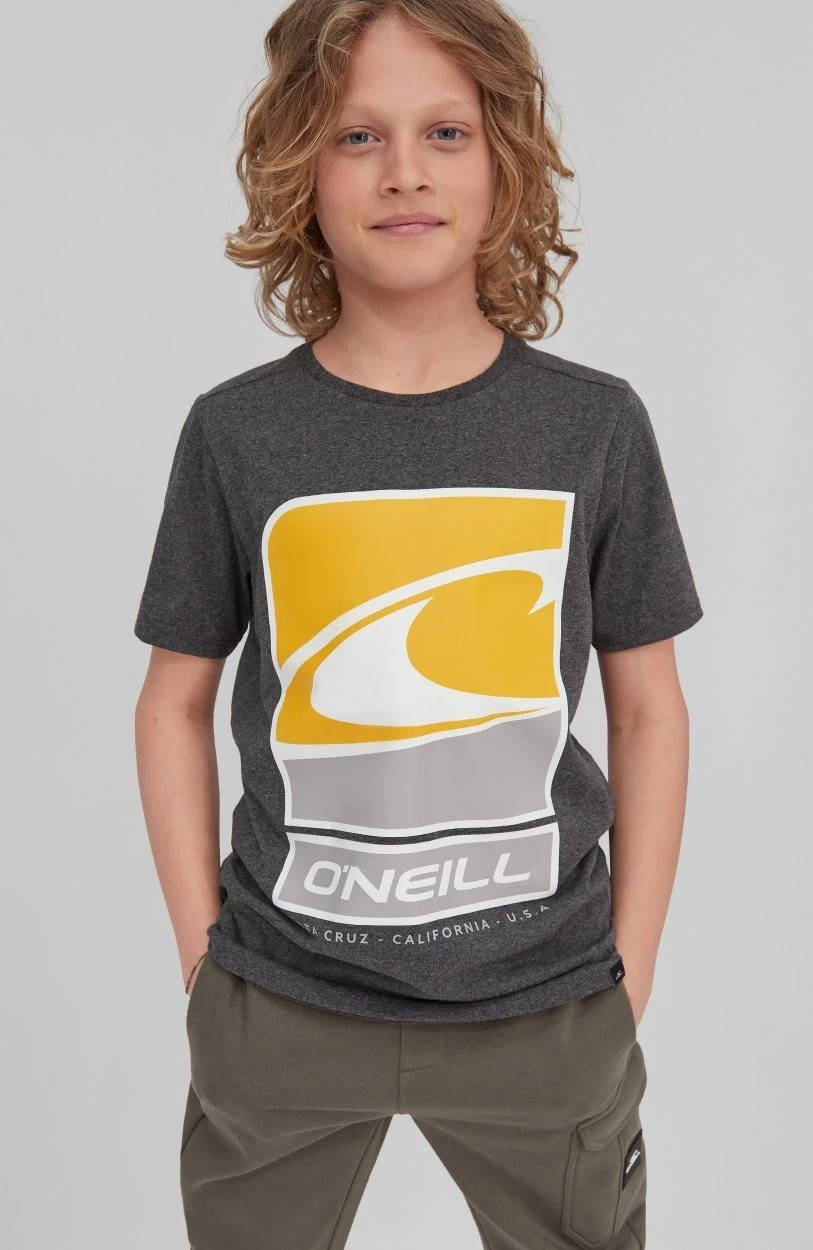 O'Neill T-shirt Flag Wave Ss T-Shirt - Afbeelding 4