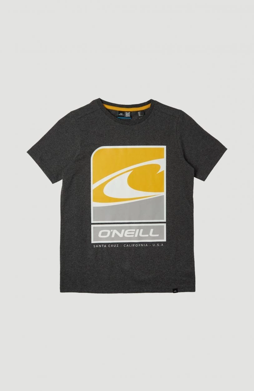 O'Neill T-shirt Flag Wave Ss T-Shirt - Afbeelding 7