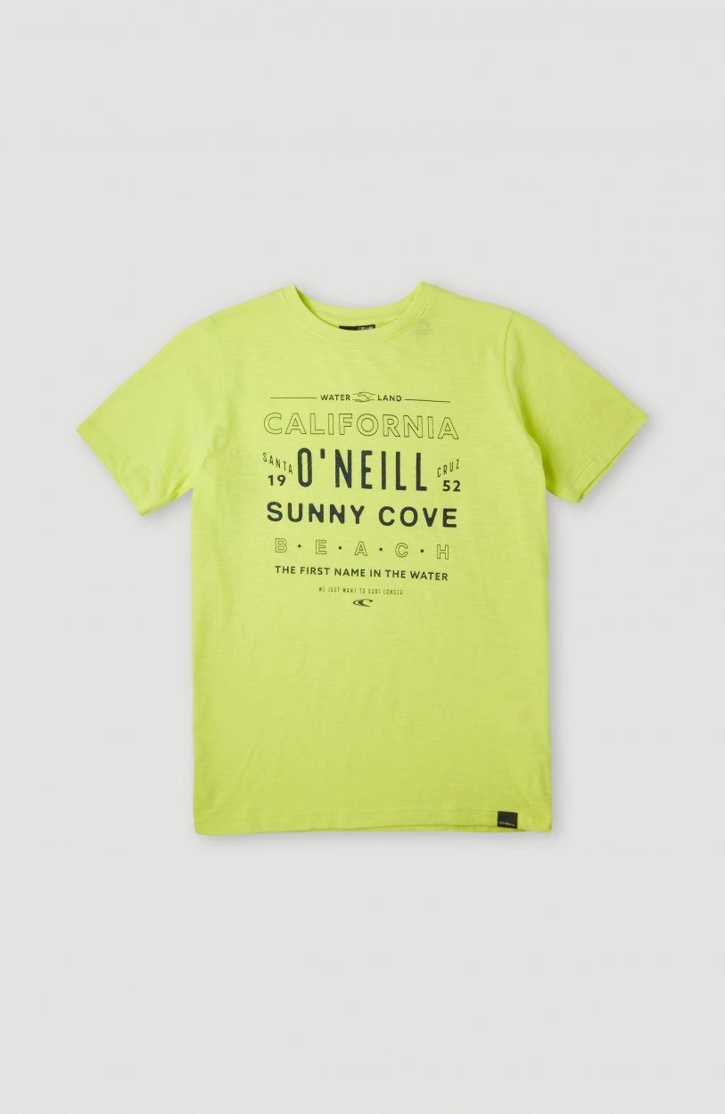 O'Neill Short ALL YEAR JOGGER SHORTS - Afbeelding 9