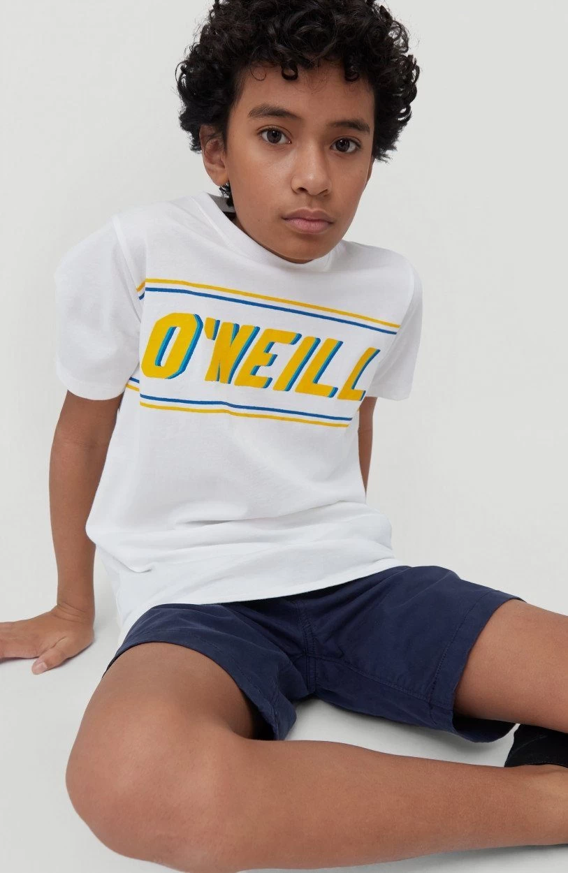 O'Neill Sweatshirt O'Neill Crew - Afbeelding 15