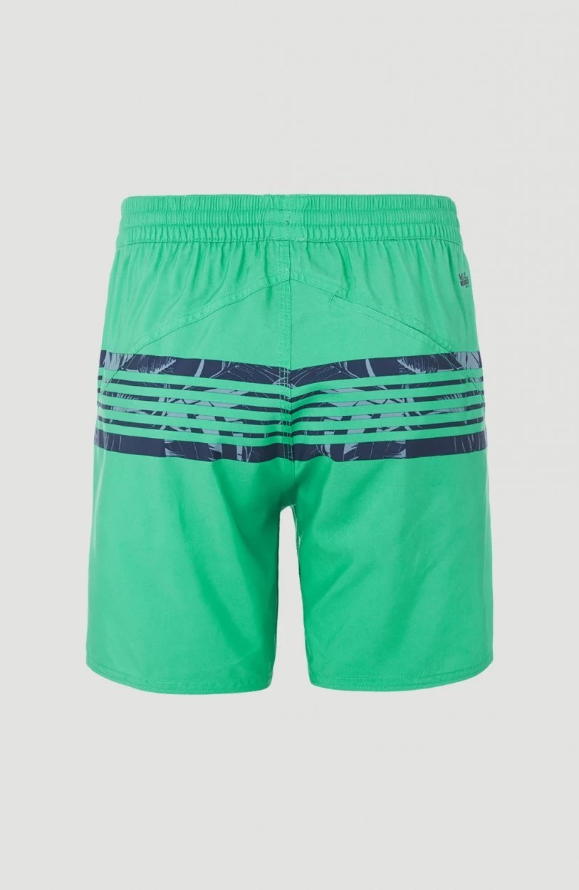 O'Neill Zwemshort Cali Stripe - Afbeelding 6
