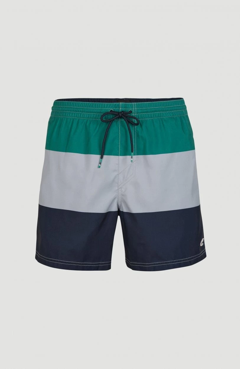 O'Neill Zwemshort "Horizon " - Afbeelding 15